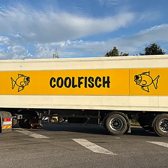 Kühl-LKW's in Sankt Pölten-Land